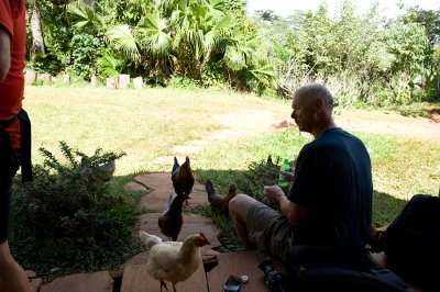 Pestered by roosters as a snack on my Power Bar
