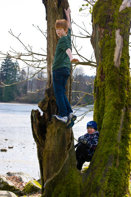 Boys in the trees