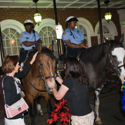 The Po-lice - mounted NOPD !