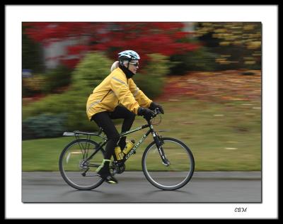 November cyclist