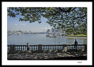 Seawall near Stanley Park - Vancouver