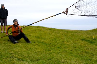 How to catch a puffin.