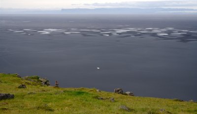 Many an unlucky ship mistook the black sands for open water.  At the edge of the cliff, an Arctic skua.