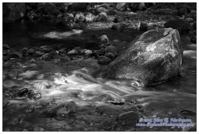 IMG_8154-BW.jpg