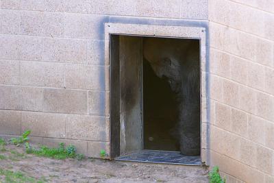 CRW_4749.jpg