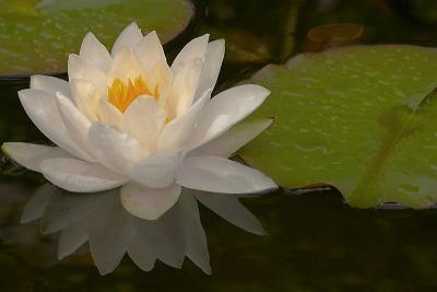 CRW_9341.jpg