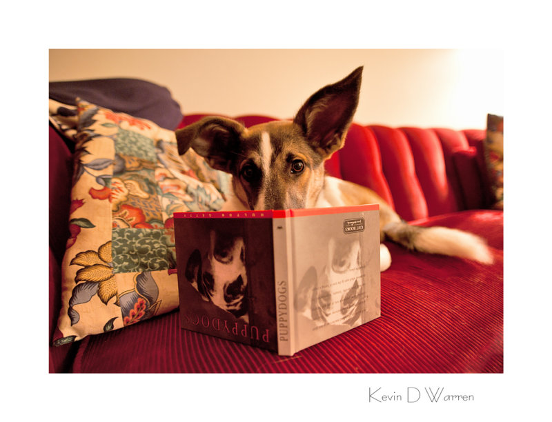 The Literate Canine,   Chapter 4 - For Della