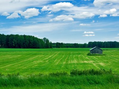 Barn