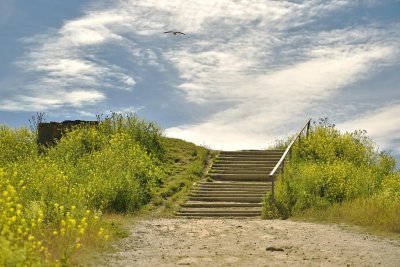 Stairway to the Sky