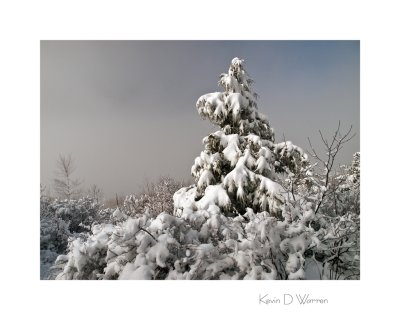 White Christmas 2011