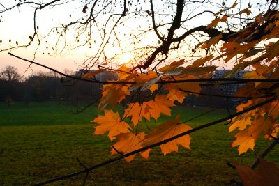 DSC_0054.jpg