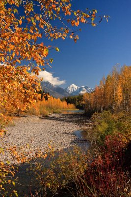 IMG_0316.jpg