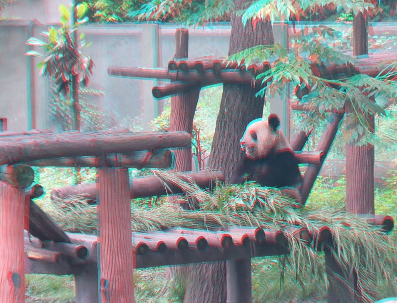 Chongqing Zoo
