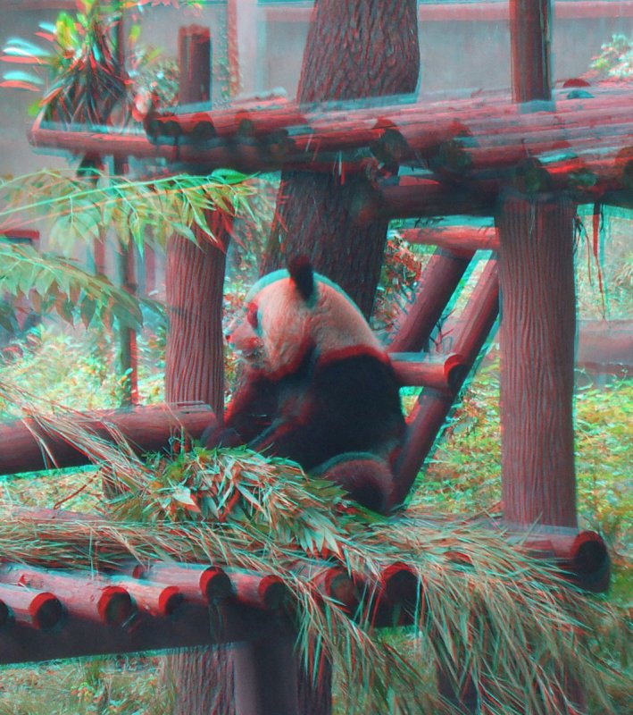Chongqing Zoo