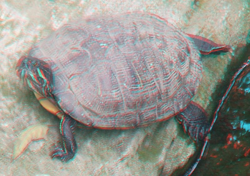Chongqing Zoo