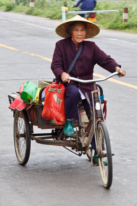 Electric cart tour, Yangshuo