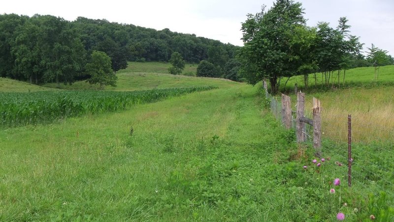 Cannon County, Tennessee
