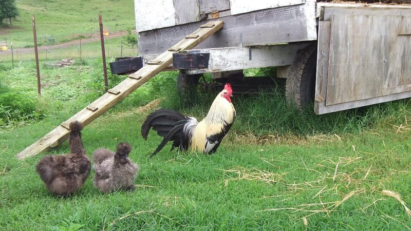 Cannon County, Tennessee