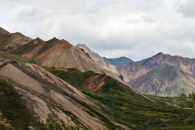 Denali National Park