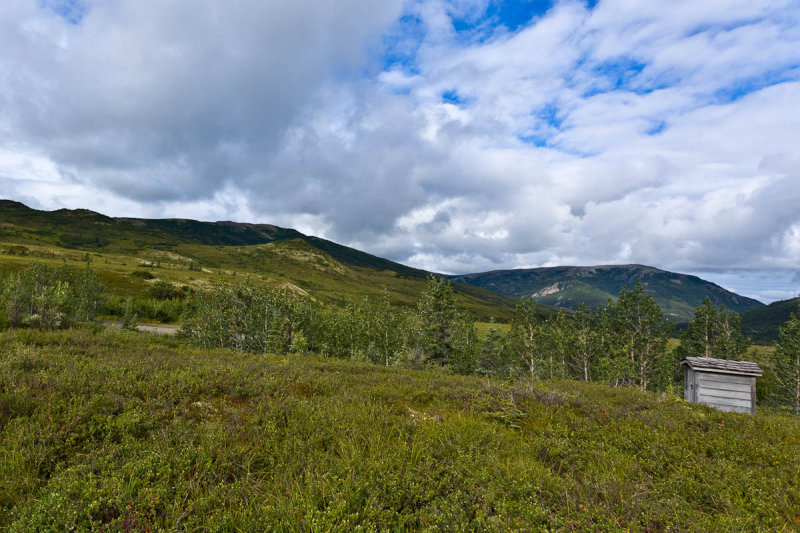 Denali National Park