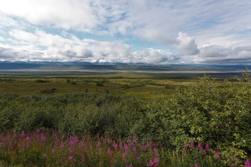 Denali National Park