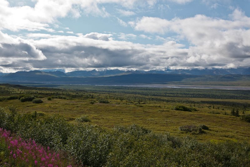 Denali National Park