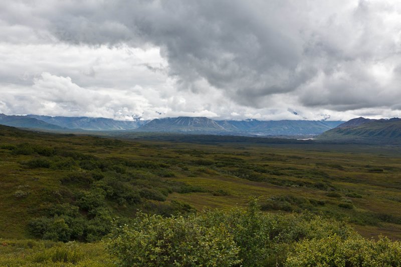 Denali National Park