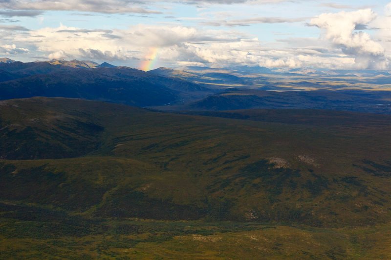 Denali National Park