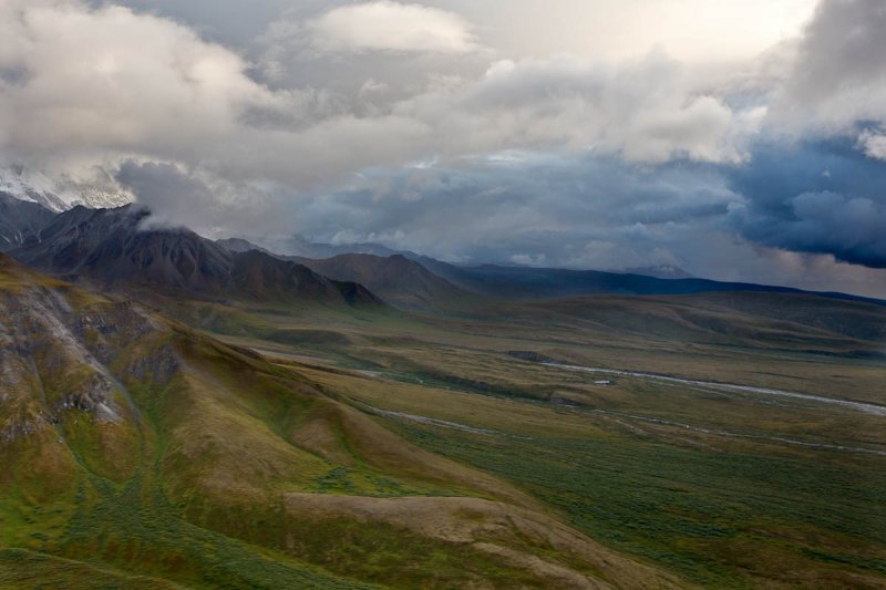 Denali National Park