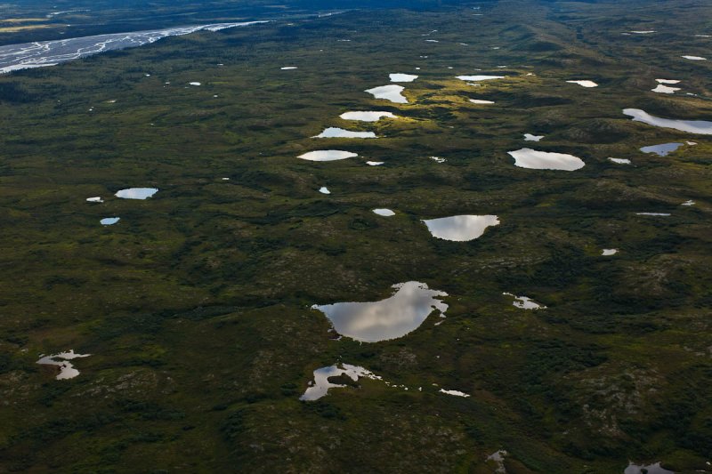 Denali National Park