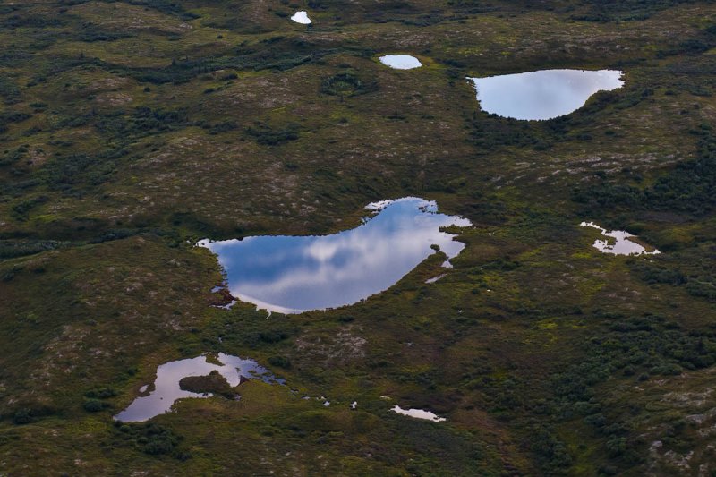 Denali National Park