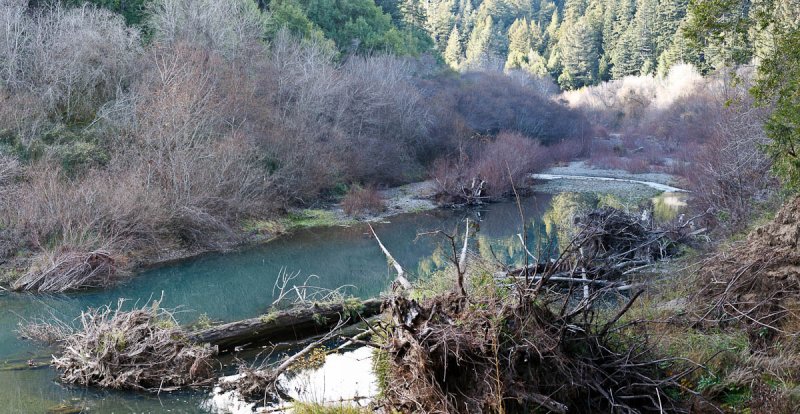 Navarro River Redwoods State Park, Mendocino