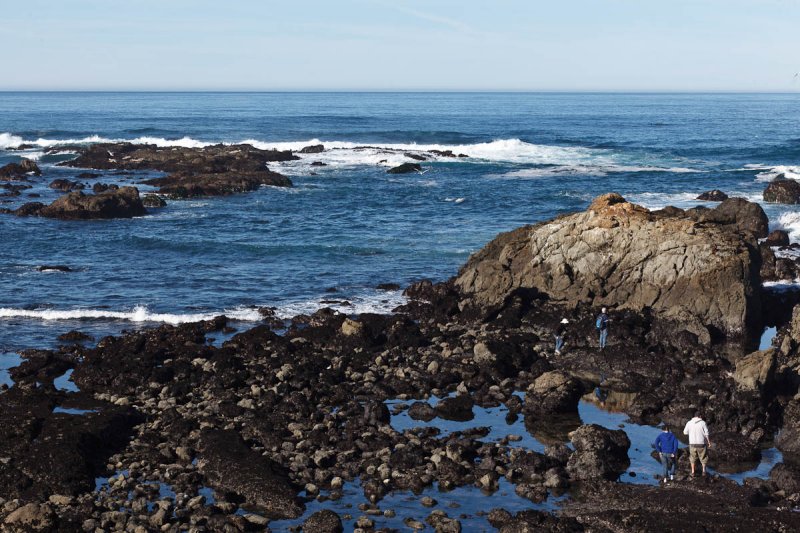 Mackerricher State Park, Fort Bragg