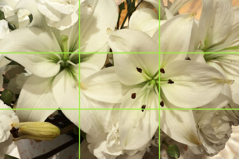 Composition: Rule of Thirds