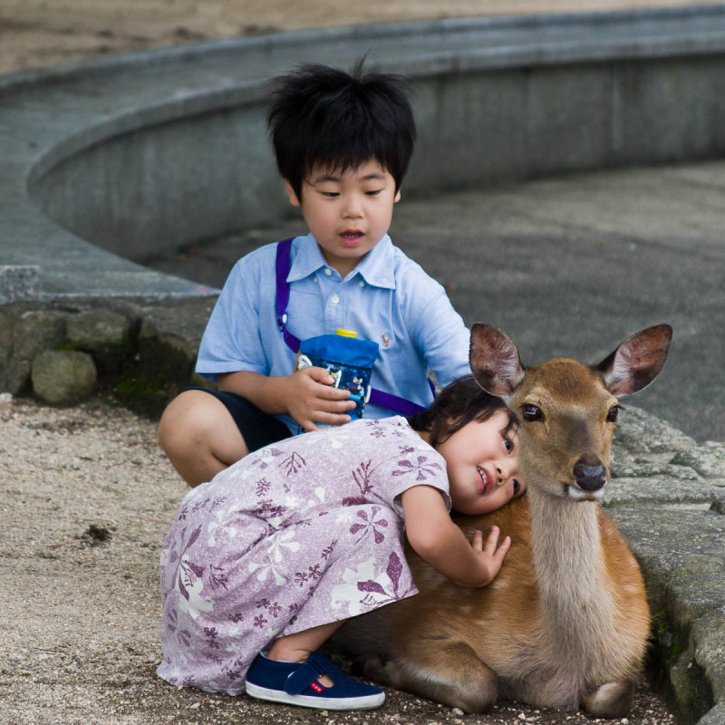 Miyajima Island