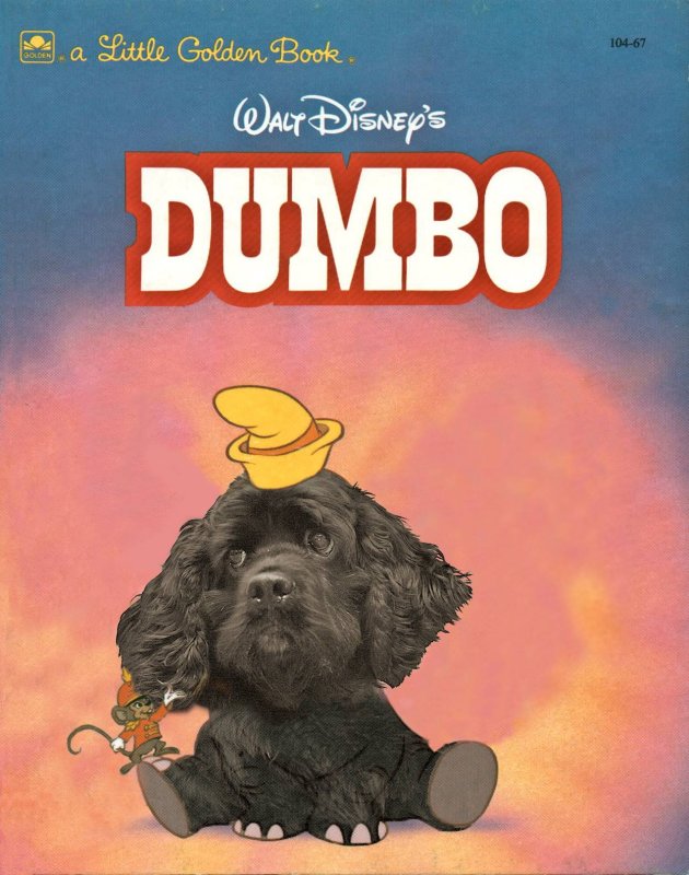 Dumbo