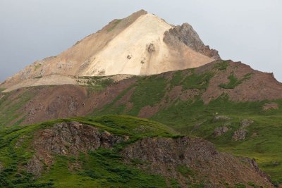 Denali National Park