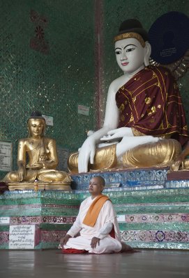 Meditating Nun at Shwedagon Pagoda