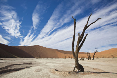 Dead Vlei-Namibia