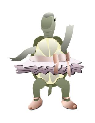 Turtle-Tu-Tu.jpg