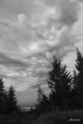 Cloud Echoes