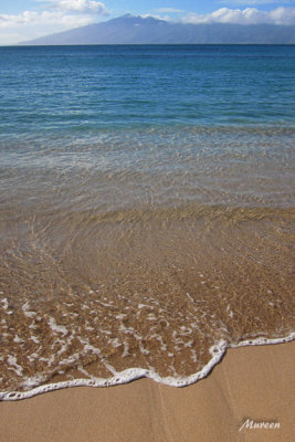Sea Gem Tone