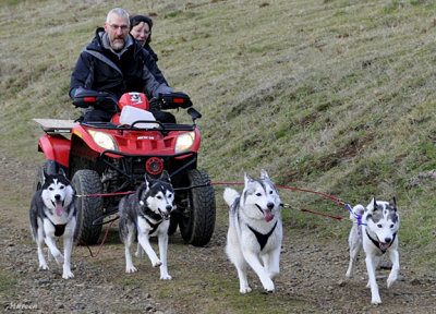 Huskies New Hill Run