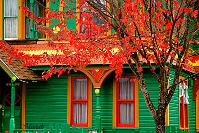 Colorful Castle Maple