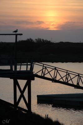 Sunset Form