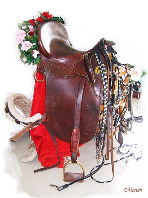 Aussie Saddle