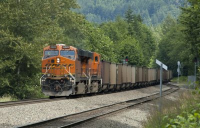 DSC_0096a.jpg