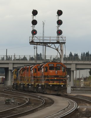 g4/30/492530/3/136894040.RvJ2aUFa.jpg