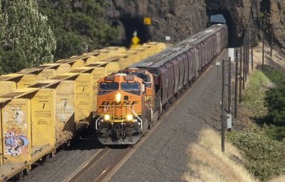 Westbound grain train in Lyle