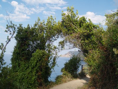 Nature Made